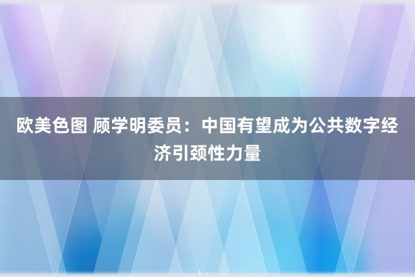 欧美色图 顾学明委员：中国有望成为公共数字经济引颈性力量