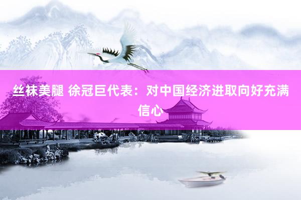 丝袜美腿 徐冠巨代表：对中国经济进取向好充满信心