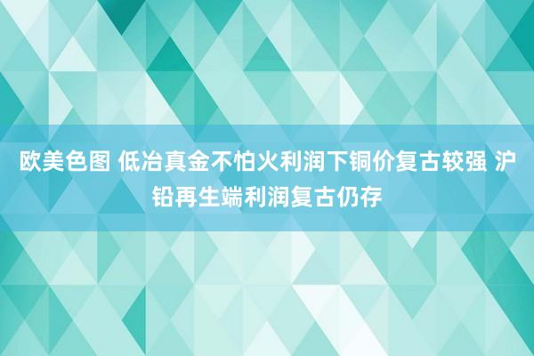 欧美色图 低冶真金不怕火利润下铜价复古较强 沪铅再生端利润复古仍存