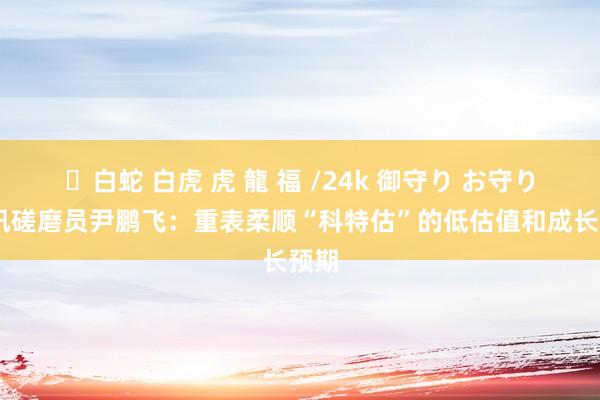 ✨白蛇 白虎 虎 龍 福 /24k 御守り お守り 和讯磋磨员尹鹏飞：重表柔顺“科特估”的低估值和成长预期