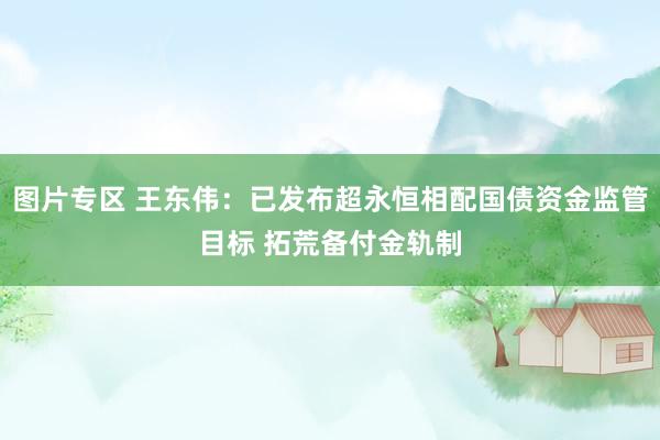 图片专区 王东伟：已发布超永恒相配国债资金监管目标 拓荒备付金轨制