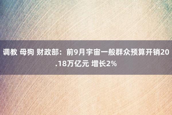 调教 母狗 财政部：前9月宇宙一般群众预算开销20.18万亿元 增长2%
