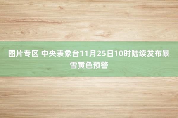 图片专区 中央表象台11月25日10时陆续发布暴雪黄色预警