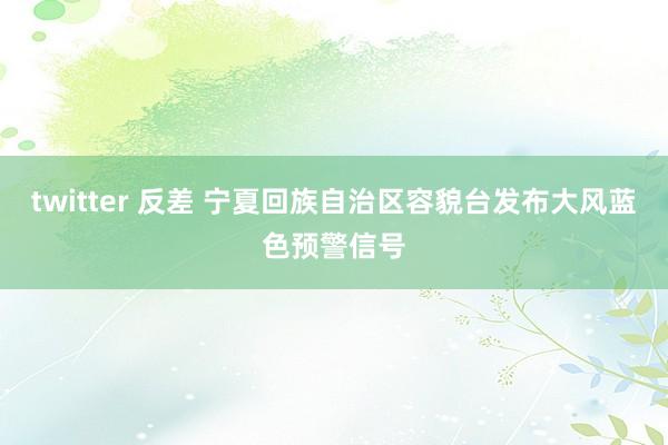 twitter 反差 宁夏回族自治区容貌台发布大风蓝色预警信号