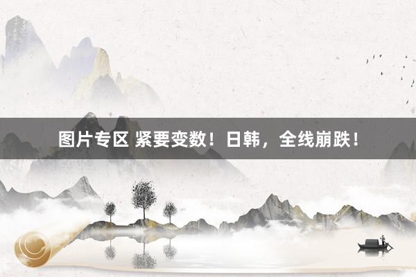 图片专区 紧要变数！日韩，全线崩跌！