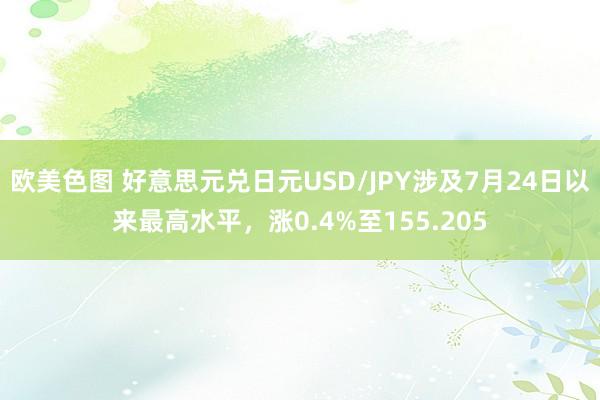 欧美色图 好意思元兑日元USD/JPY涉及7月24日以来最高水平，涨0.4%至155.205