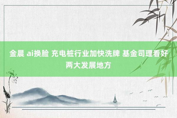 金晨 ai换脸 充电桩行业加快洗牌 基金司理看好两大发展地方