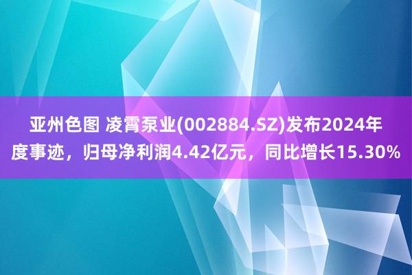 亚州色图 凌霄泵业(002884.SZ)发布2024年度事迹，归母净利润4.42亿元，同比增长15.30%
